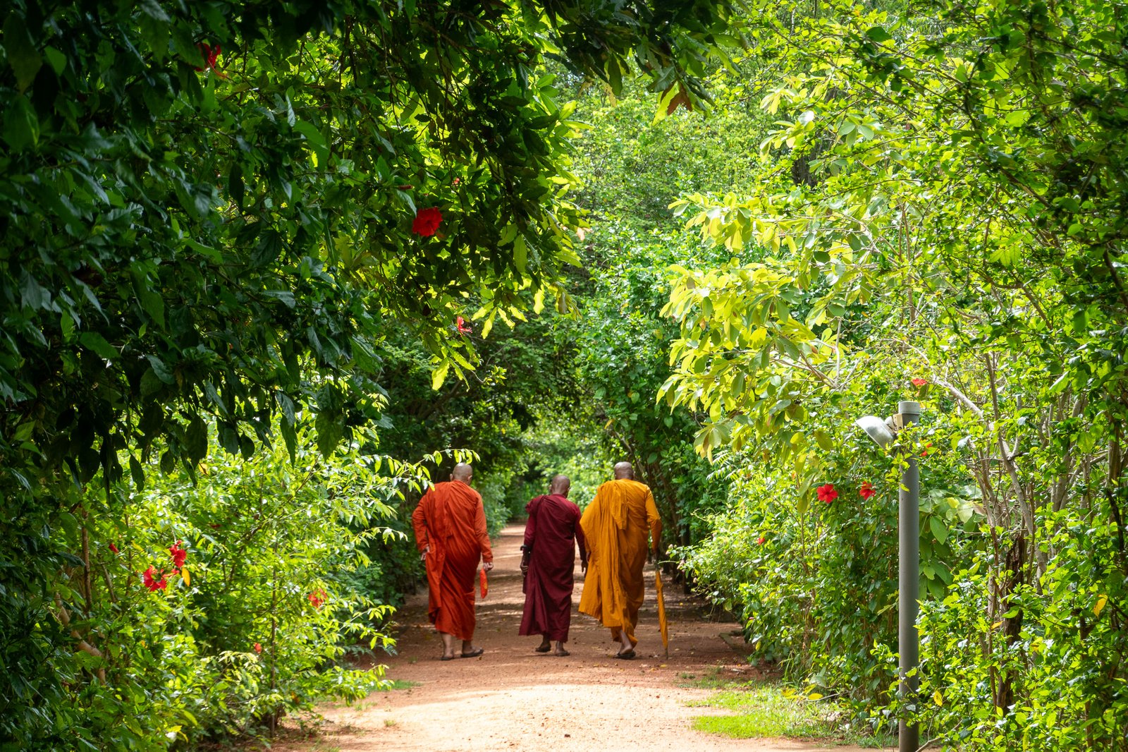 Read more about the article 10-Day Vipassana Meditation Course in Sri Lanka